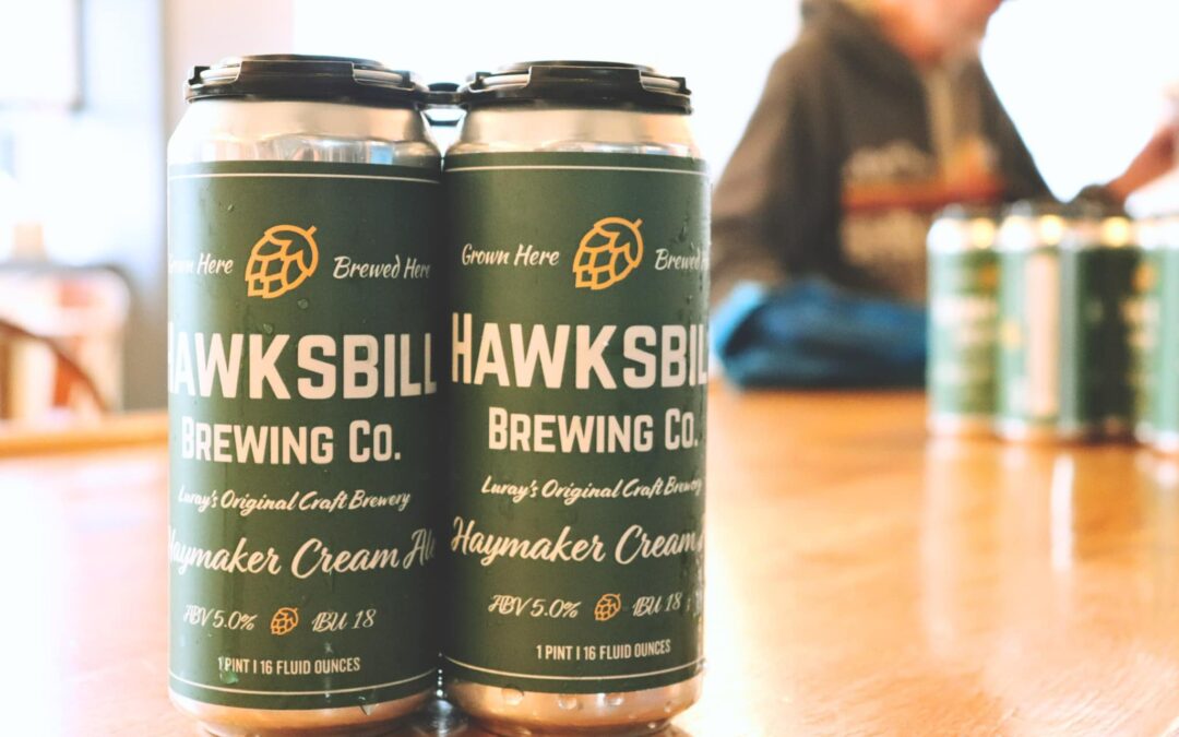 Take 6 with Hawksbill Brewing